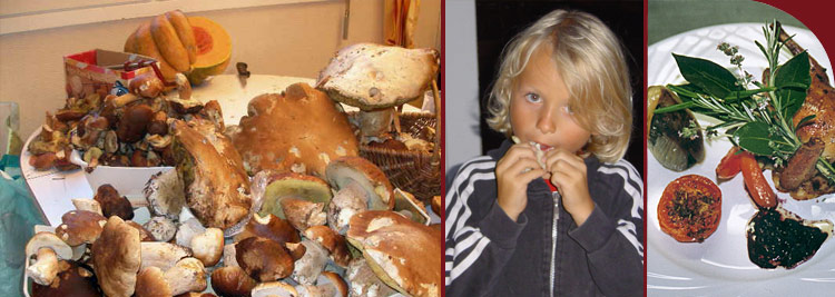 maison d'h&ocirc;tes, ard&egrave;che, table d'h&ocirc;tes, vall&eacute;e de l'eyrieux